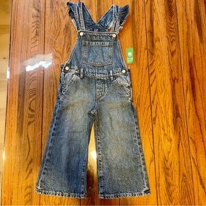 Gap Overalls